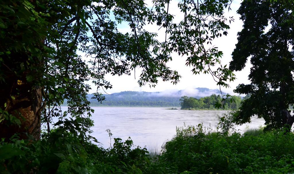 Temple Tiger Green Jungle Resort Kawasoti 外观 照片