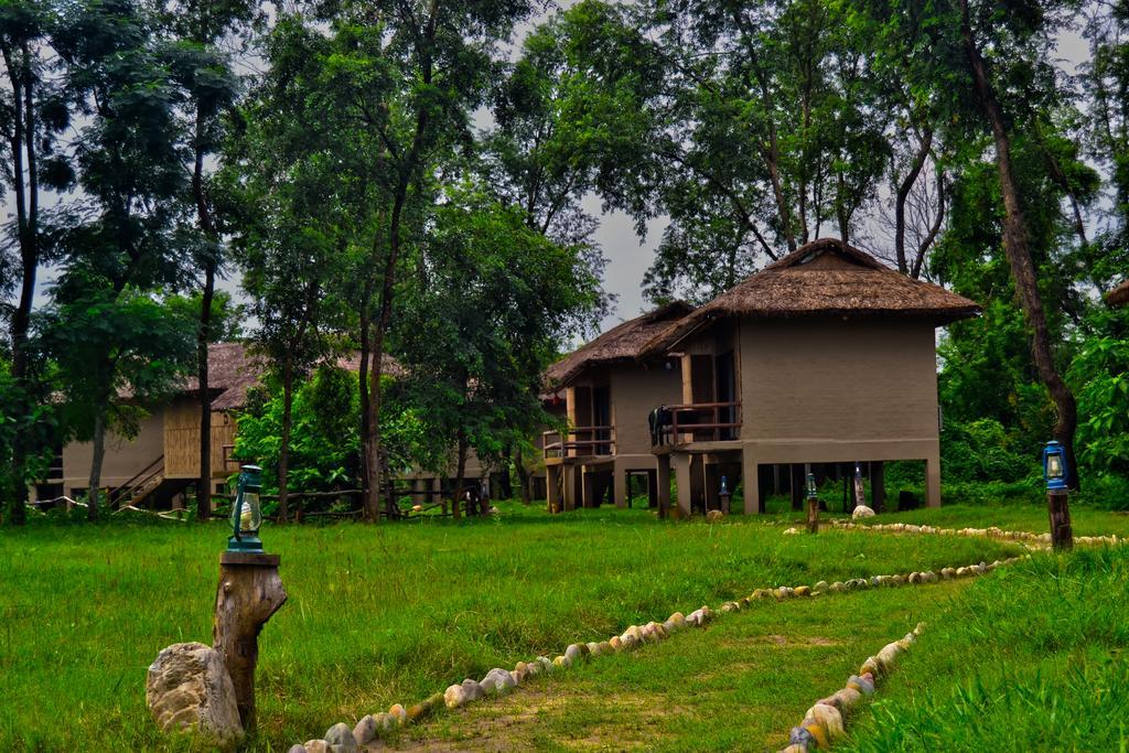 Temple Tiger Green Jungle Resort Kawasoti 外观 照片
