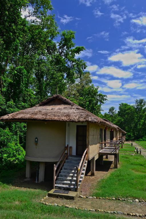 Temple Tiger Green Jungle Resort Kawasoti 客房 照片